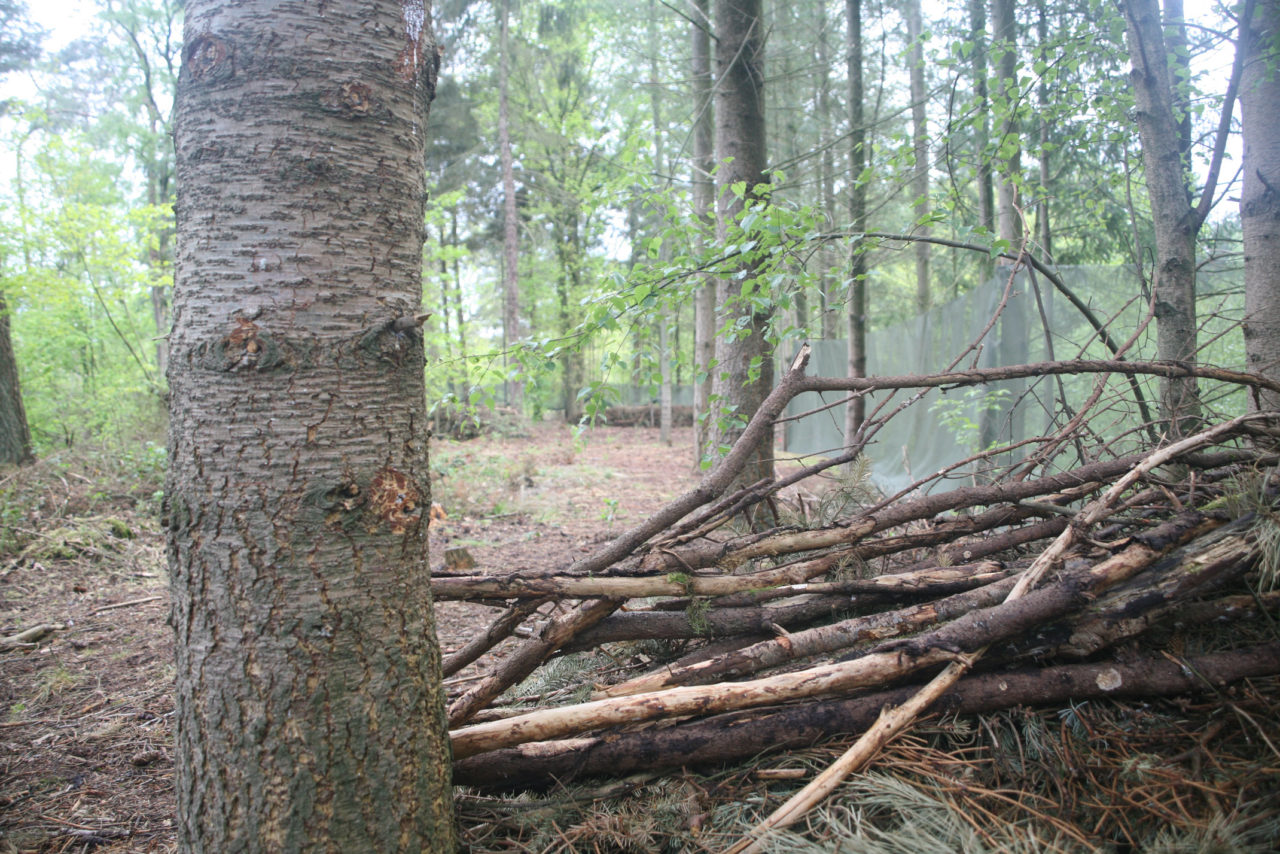 Natuurlijke bunker airsoft veld